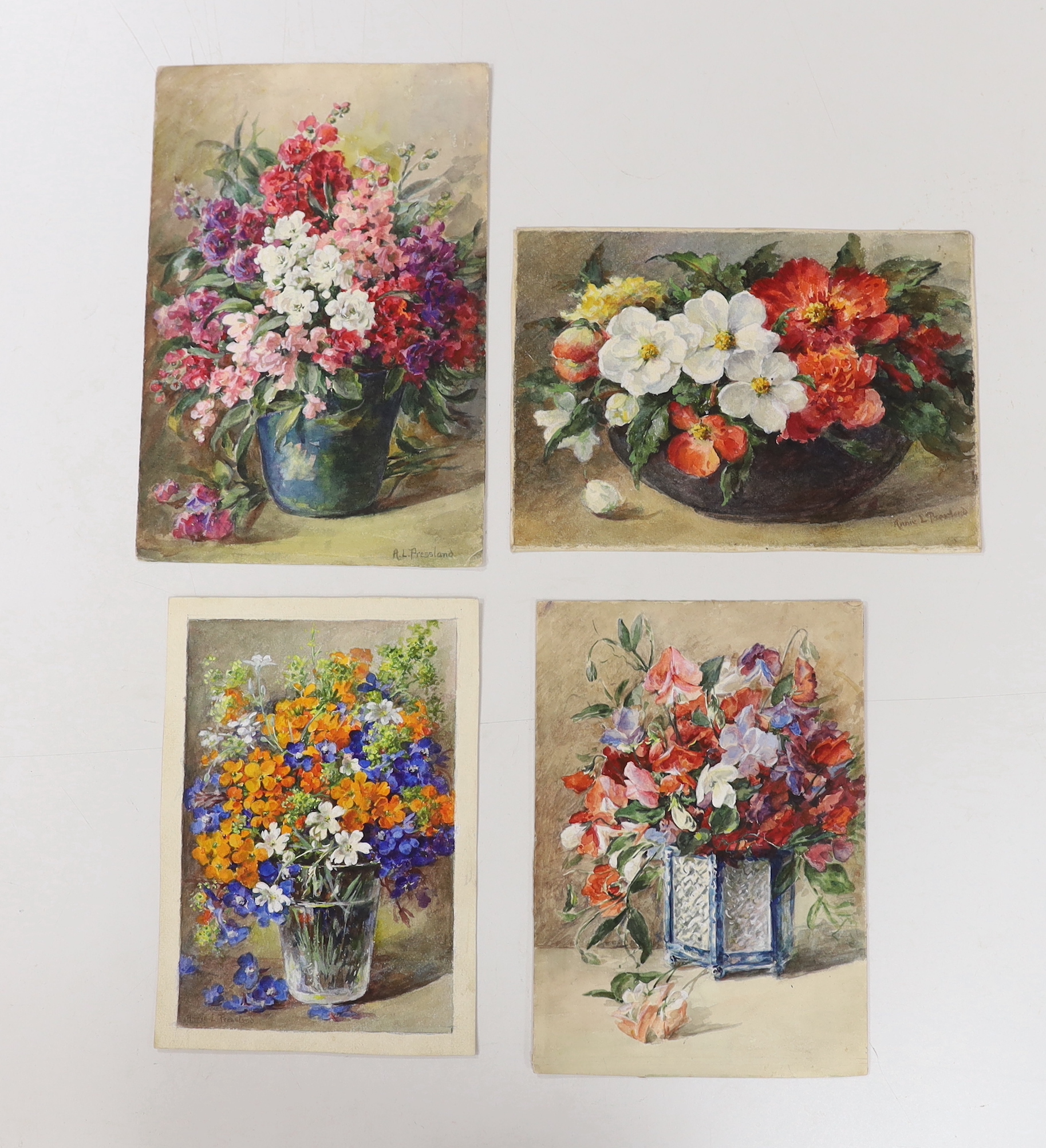 Annie Pressland (1862-1933), four watercolours on card, Begonias, Sweet Peas, Wallflowers and Stocks, two signed, largest 29 x 19cm, unframed